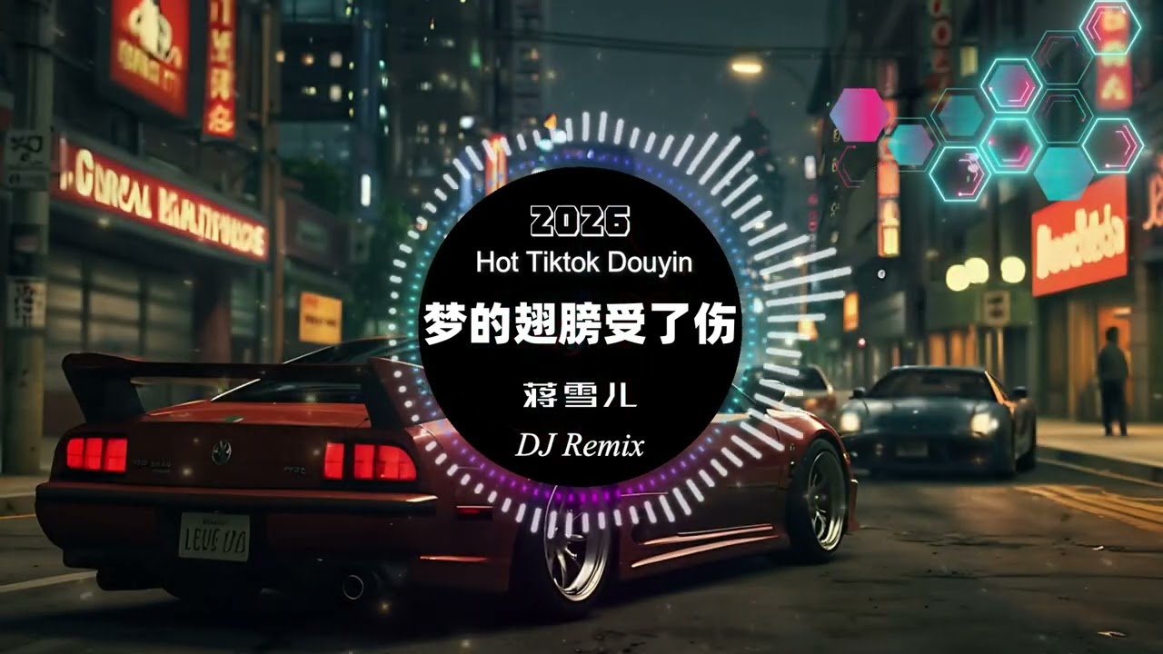 梦的翅膀受了伤 – 蒋雪儿 DJ Remix 2026｜伤感女声DJ版｜车载慢摇DJ｜中文DJ舞曲｜Chinese DJ