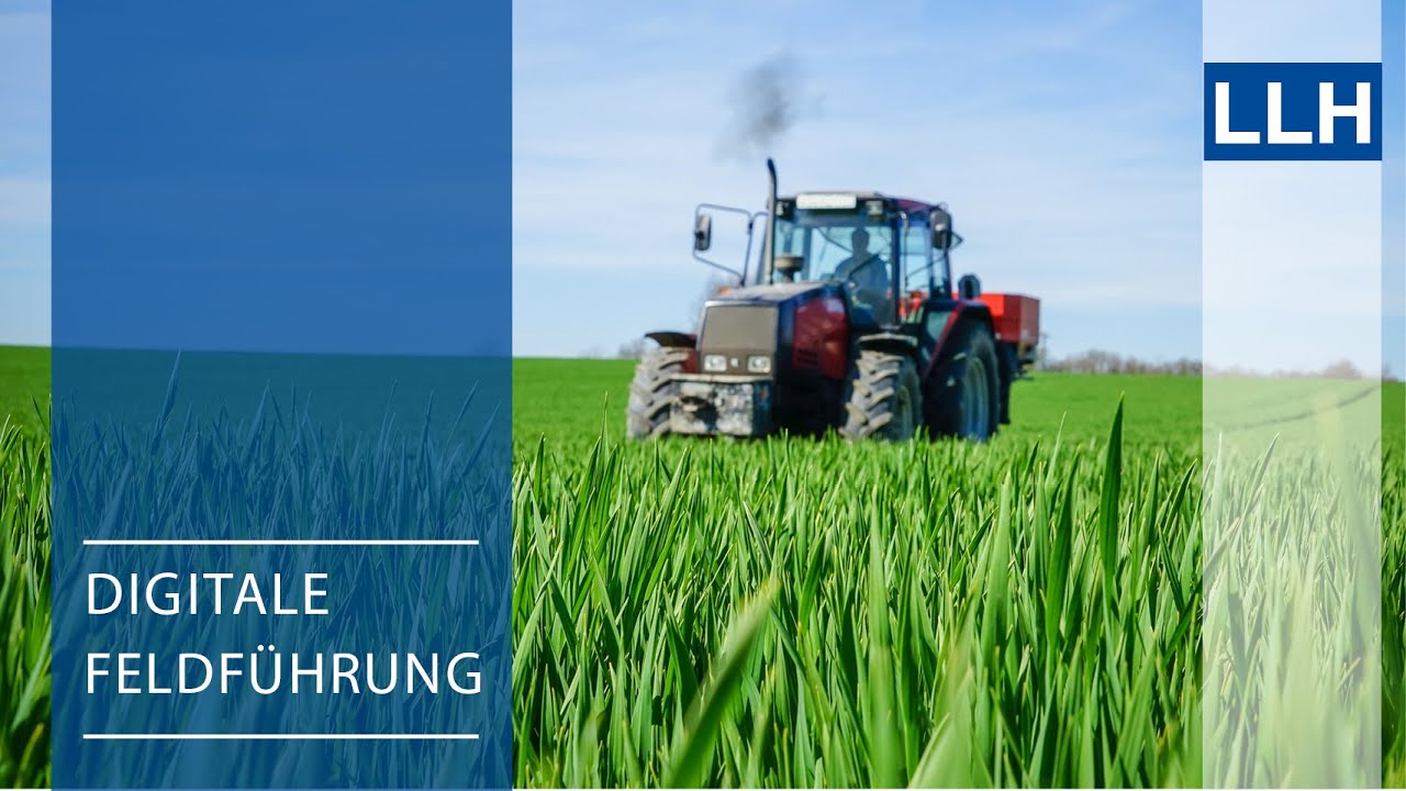 Digitale Feldführung: Winterweizen - Einfluss der Düngestrategie auf die Bestandsentwicklung