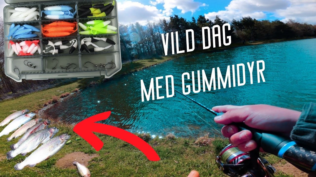 For&aring;rsboks challenge ep. 2 - 👉Gummifiskeri i krystalklart vand 👈