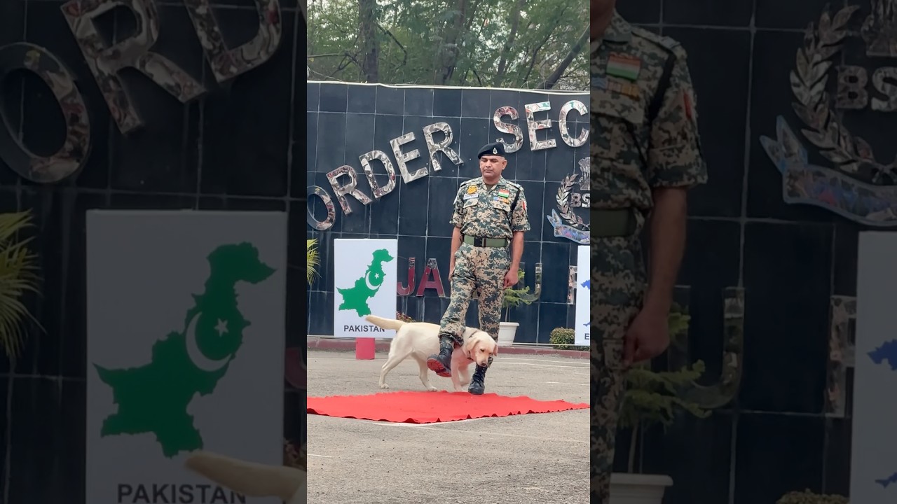 Bsf Jawan 👮🏻&zwj;♂️ i bsf Dog 🐶 #pies #psy #spodenkidlapsa #spodenki #kr&oacute;tkifilm #bsf #armia #miłość