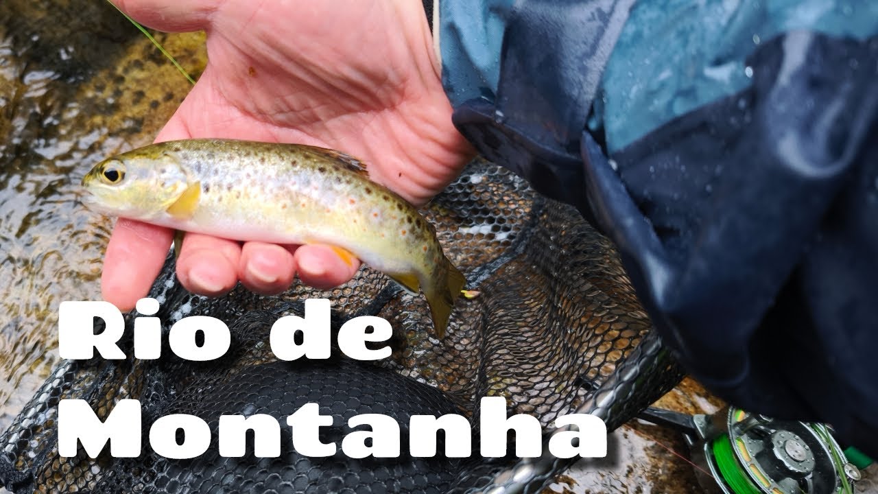 Pesca às Trutas 2 - Temporada 2025