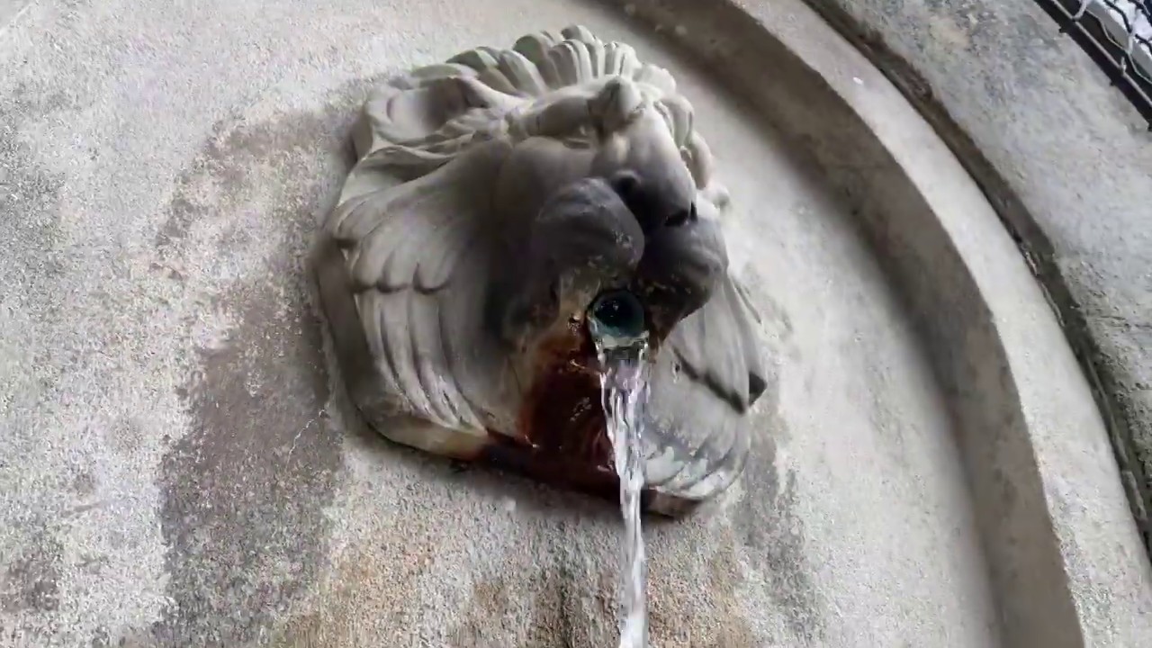 April 3, 2020 - Chanticleer Video Tour