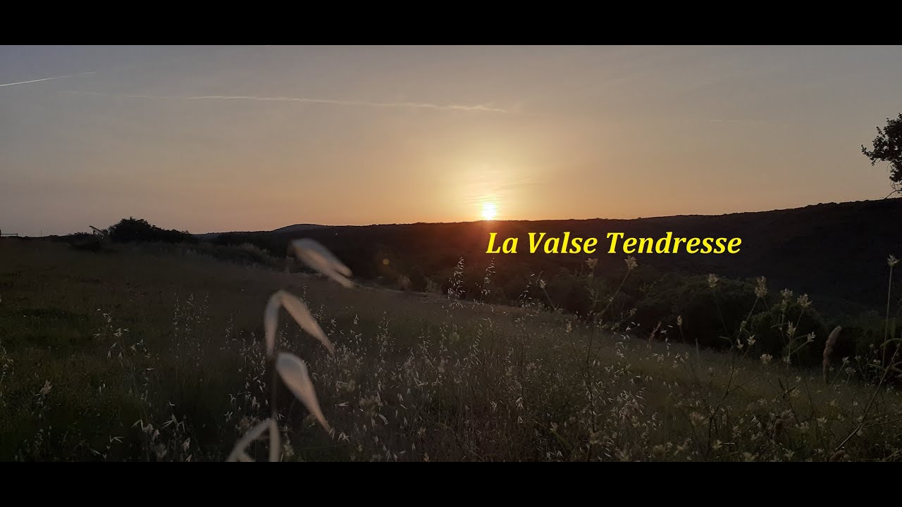 La valse tendresse