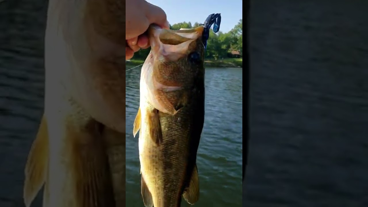 Lake of Egypt Fishing