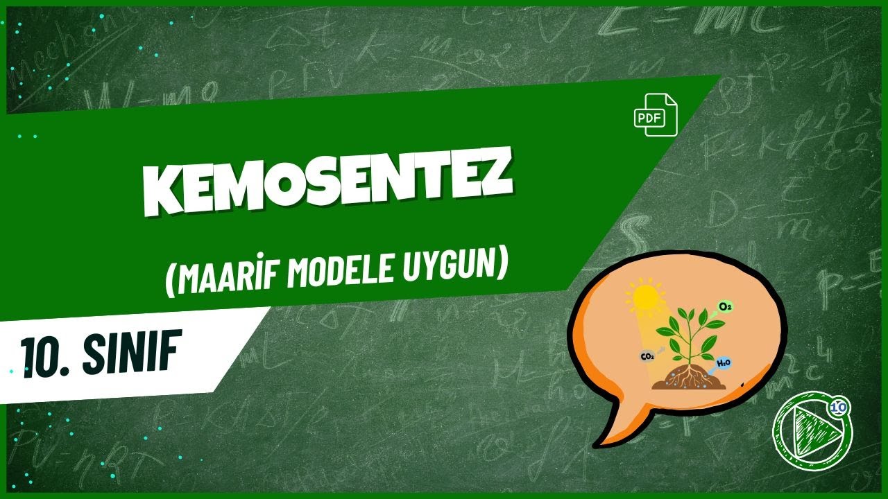 Kemosentez  | 10. Sınıf Biyoloji Konu Anlatımı | 2026