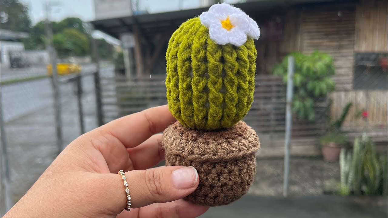 🌵Vamos a Tejer y Emprender🌵Cactus mini plantita a Crochet Tutorial #youtube #flowers #crochet