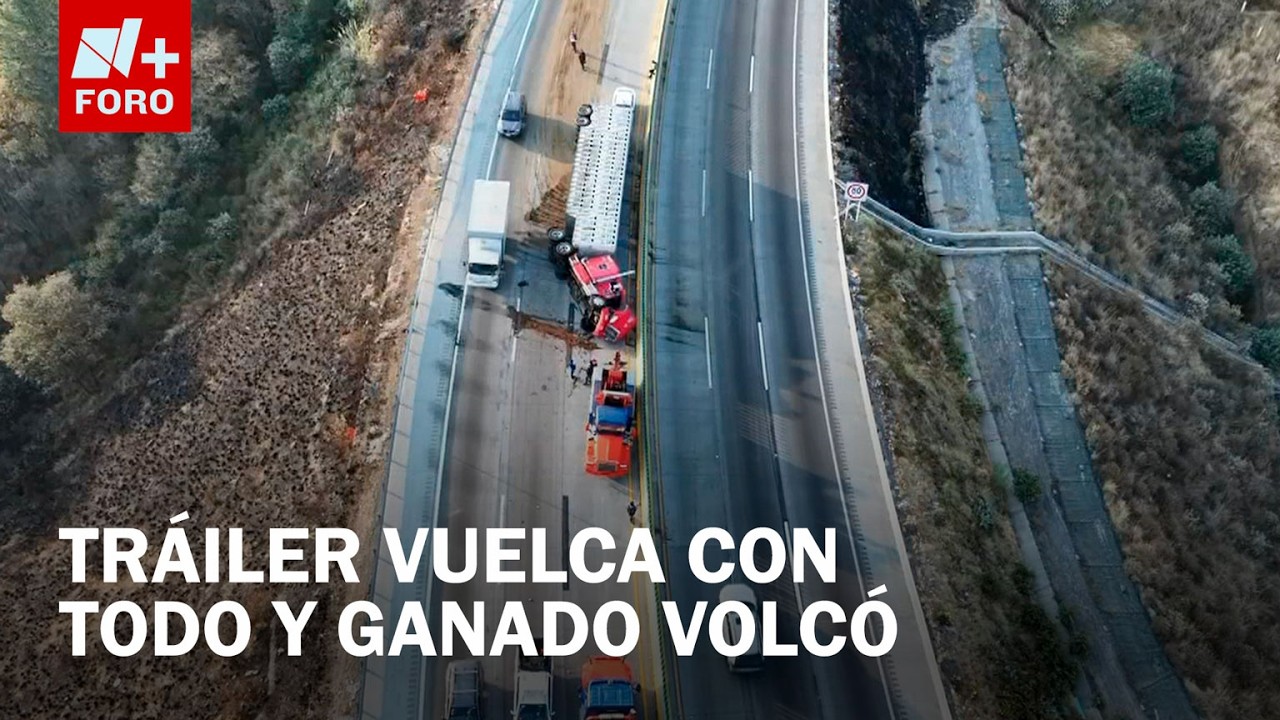 Vuelca tráiler con 70 cabezas de ganado en la autopista México-Puebla - Expreso de la Mañana
