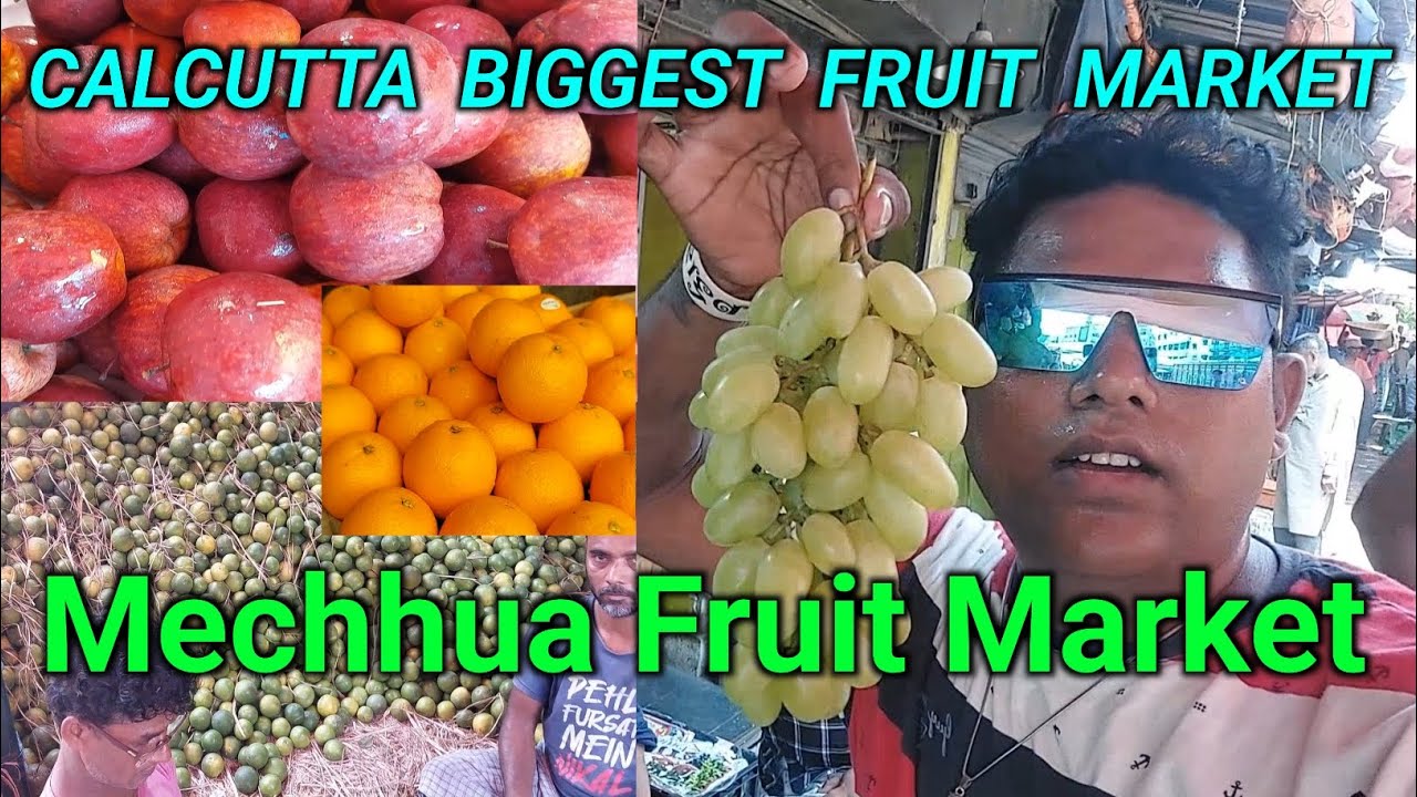 Kolkata Biggest Fruit Market | Mechhua fruit market #godisgreatvlog #kolkata  #fruitmarket