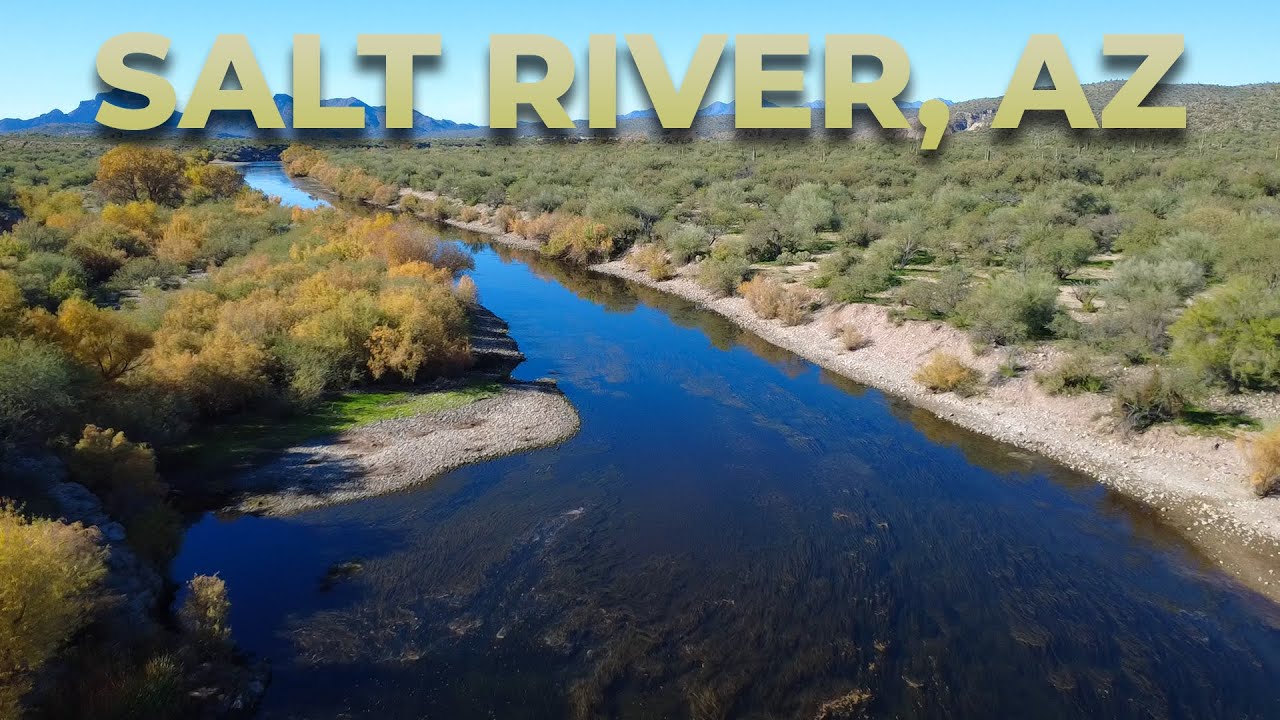 The Fish of Arizona's Salt River | Desert Wildlife