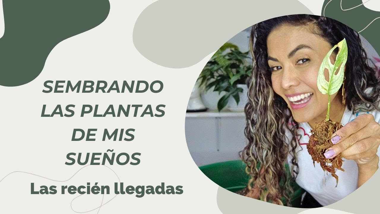 🌿PLANTAS DE COLECCIÓN recién llegadas !HORA DE PLANTARLAS¡👩‍🌾💚