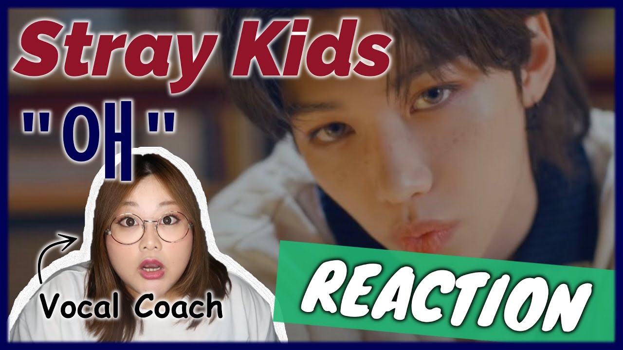 個性あふれる歌声にびっくり！ Stray Kids 