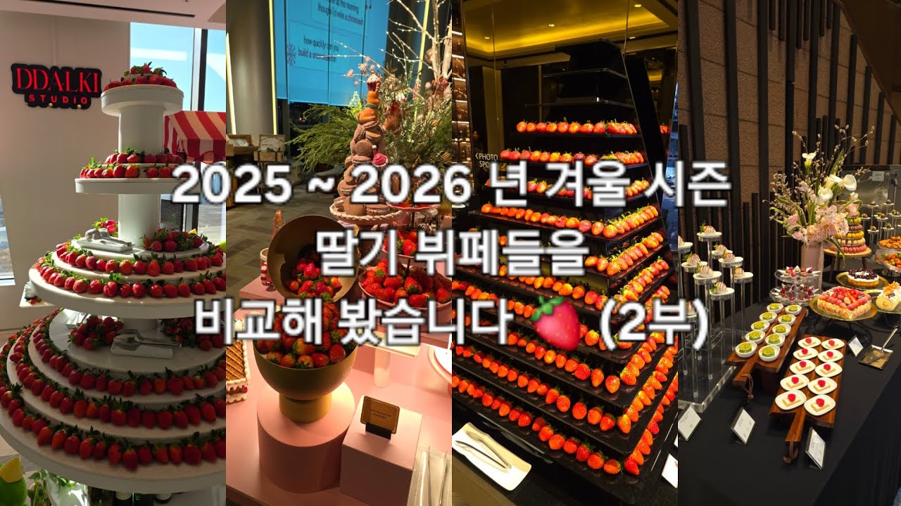 2025 ~ 2026년 전국 딸기 뷔페들을 비교해 봤습니다 🍓💕 (2부 총 4곳)
