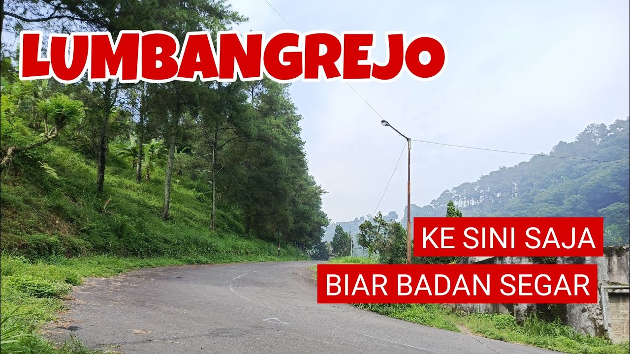 Pinggir Hutan Kawasan Elit Lumbangrejo