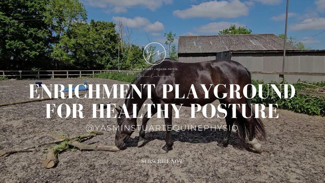 Enrichment Playground For Healthy Posture