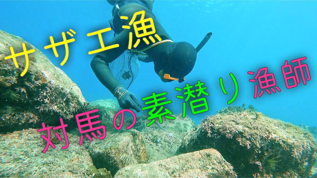 🐟【対馬の素潜り漁師】冬のサザエ漁