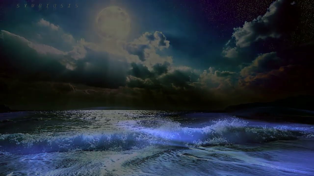 DONOZOR - SYMBIOSIS (Original Mix 2024)