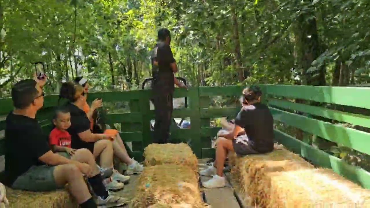 🚜Hayrides At Queens County Farm Museum!!!🚜 (Narrated).