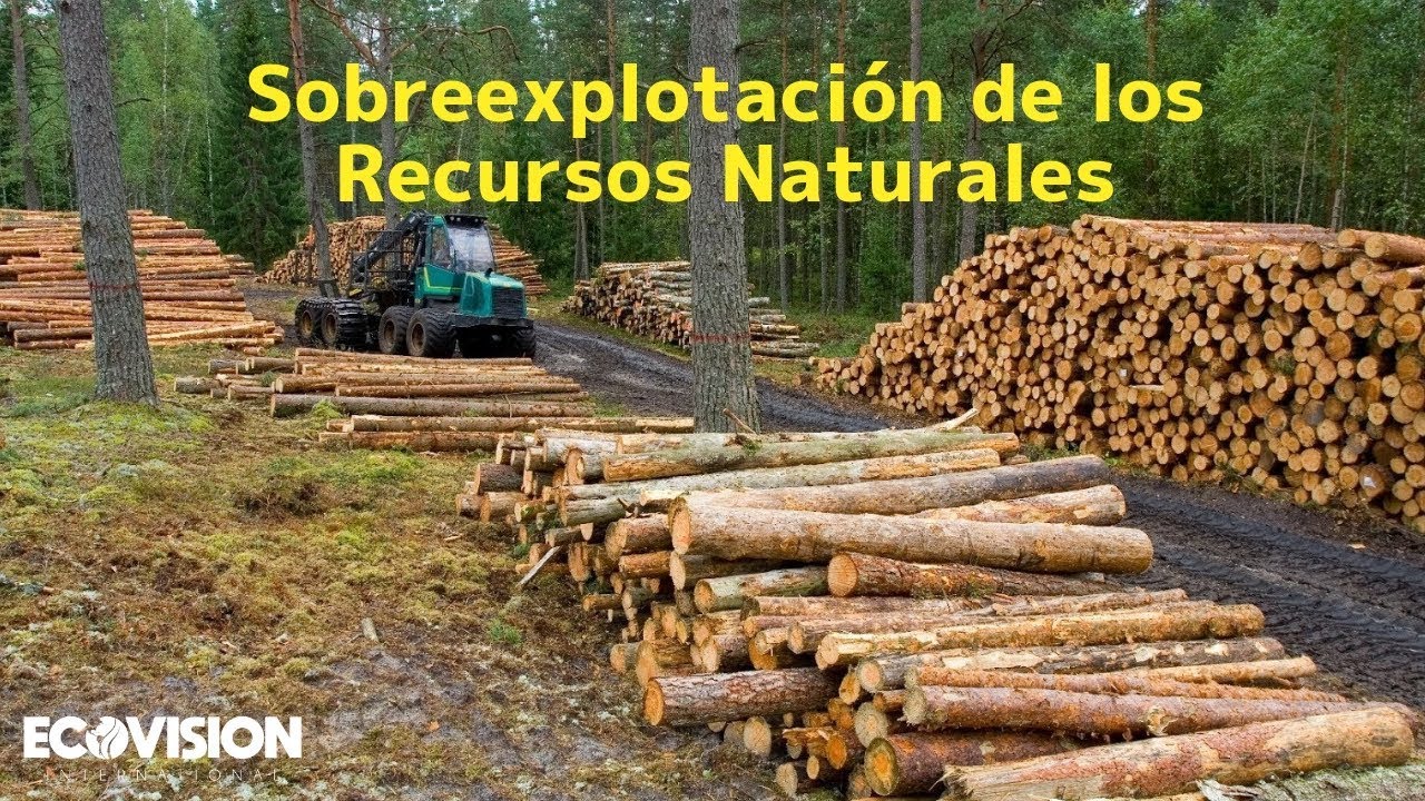 SOBREEXPLOTACI&Oacute;N DE LOS RECURSOS