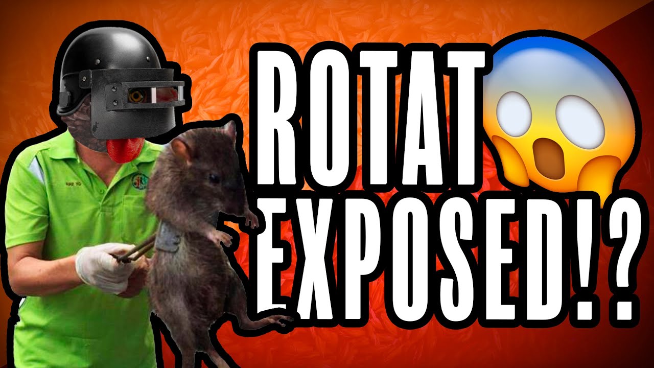 NÄINKÖ PAVLOVIN ROTAT TEKEE VIDEONSA???