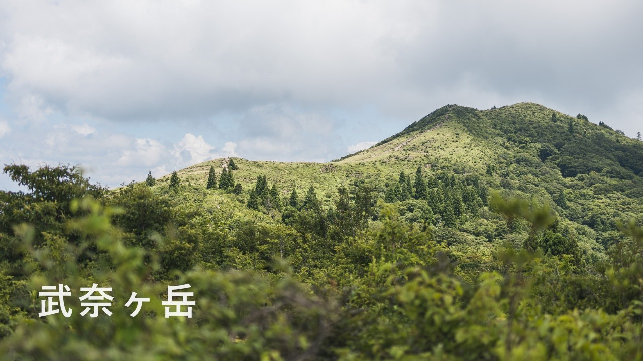 【武奈ヶ岳 4k】夏でも涼しい｜イン谷口から沢沿いと稜線の周回登山