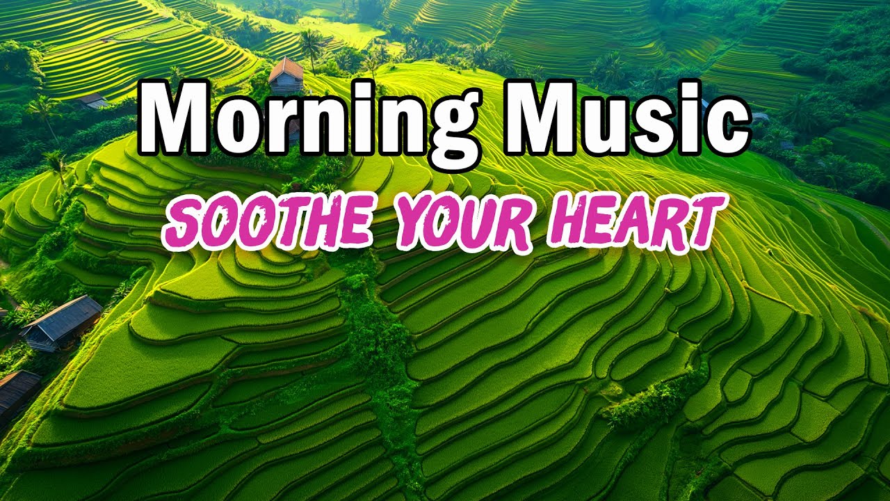 Morning Harmony - Relaxing Rhumba Cha Cha Guitar Instrumental Melodies to Soothe Your Heart