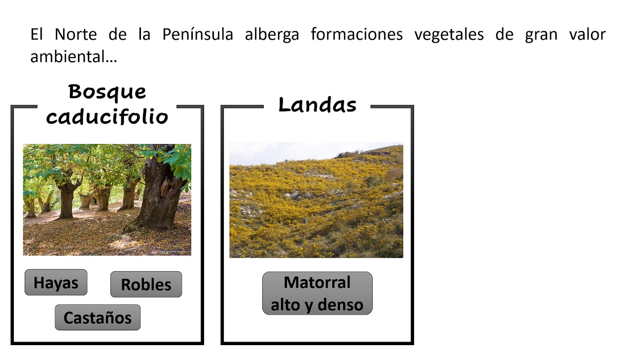 El paisaje de bioclima oce&aacute;nico en Espa&ntilde;a.