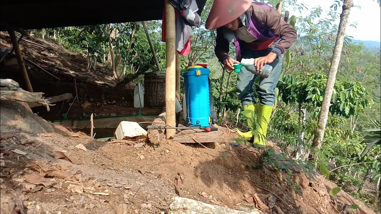 KERJA HARINI! MENYEMPROT RUMPUT, KESEHARIAN WARGA BUMI