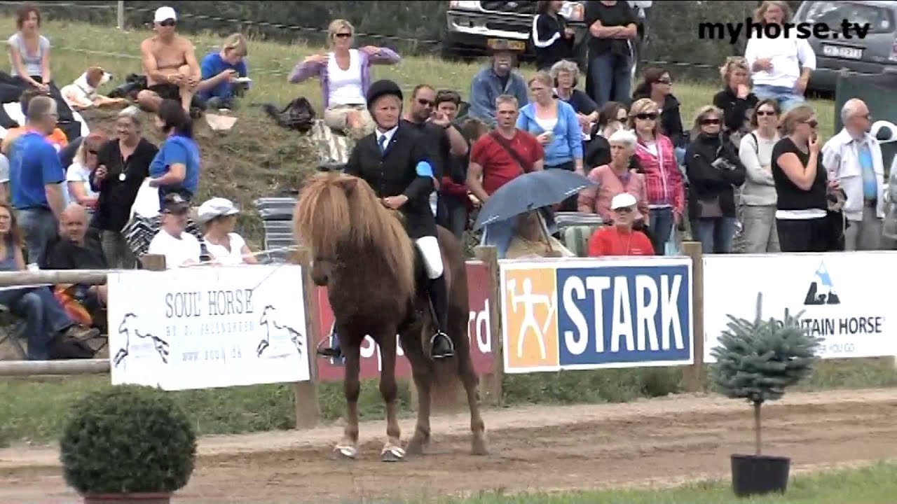 DM Islandsk hest 2008 - Senior A finale T2