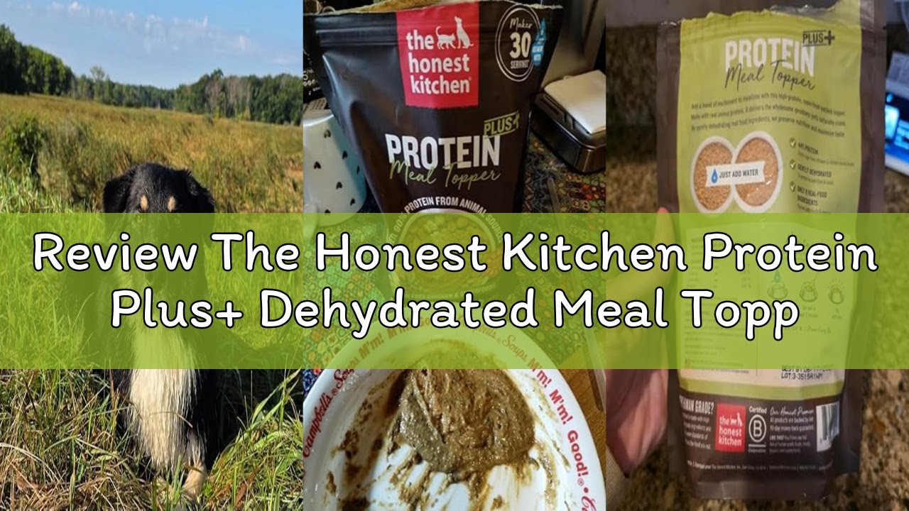 Review The Honest Kitchen Protein Plus+ Dehydrated Meal Topper: Grain Free Beef Superfoods, 12oz Pou