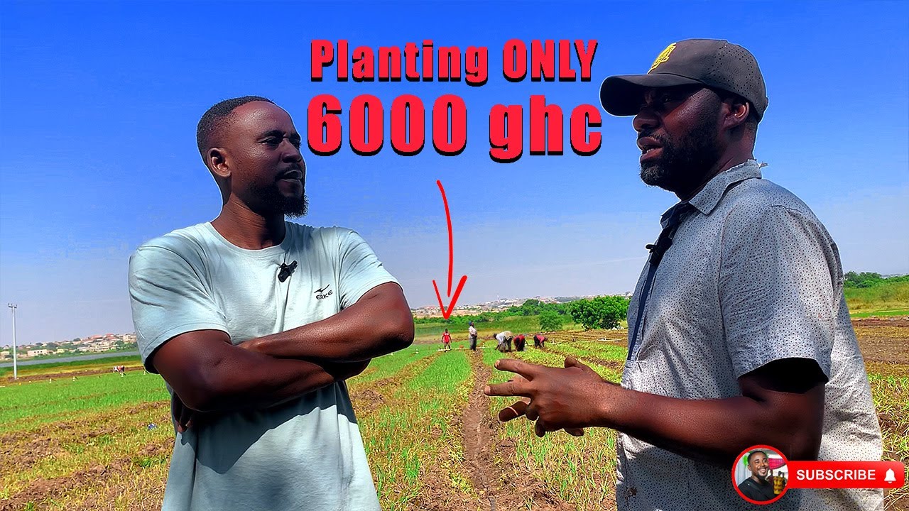 ONE Acre Onion Farm EXPENSES in Just 7 DAYS… Shocking!