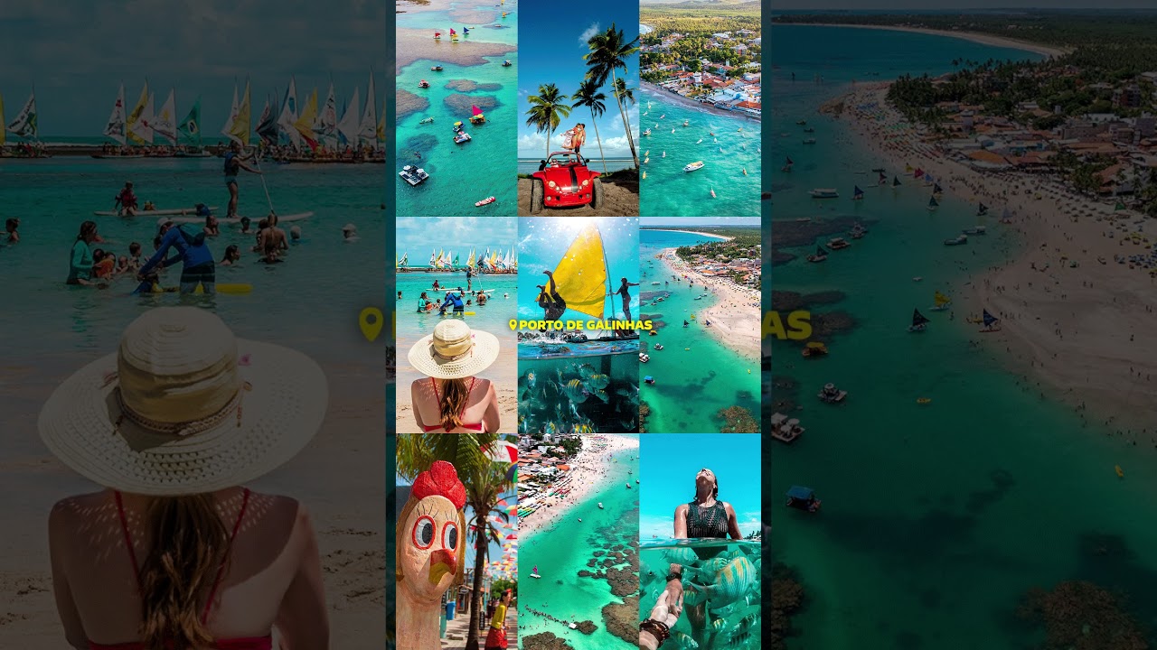 Porto de Galinhas ao seu alcance!