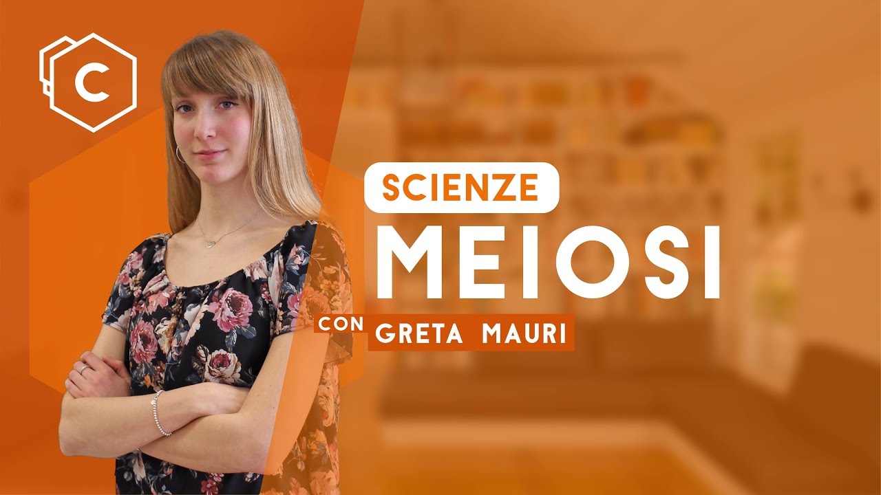 Meiosi | Scienze
