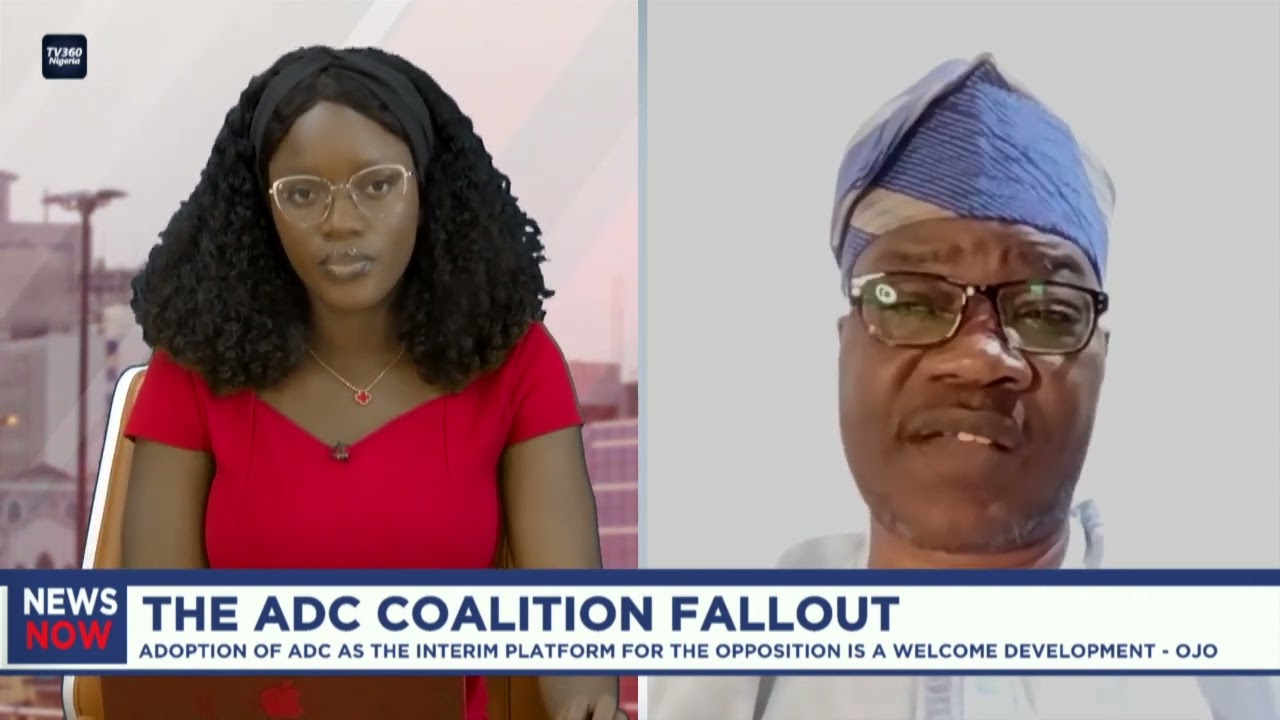 ADC coalition may be brought down by litigations - Ojo