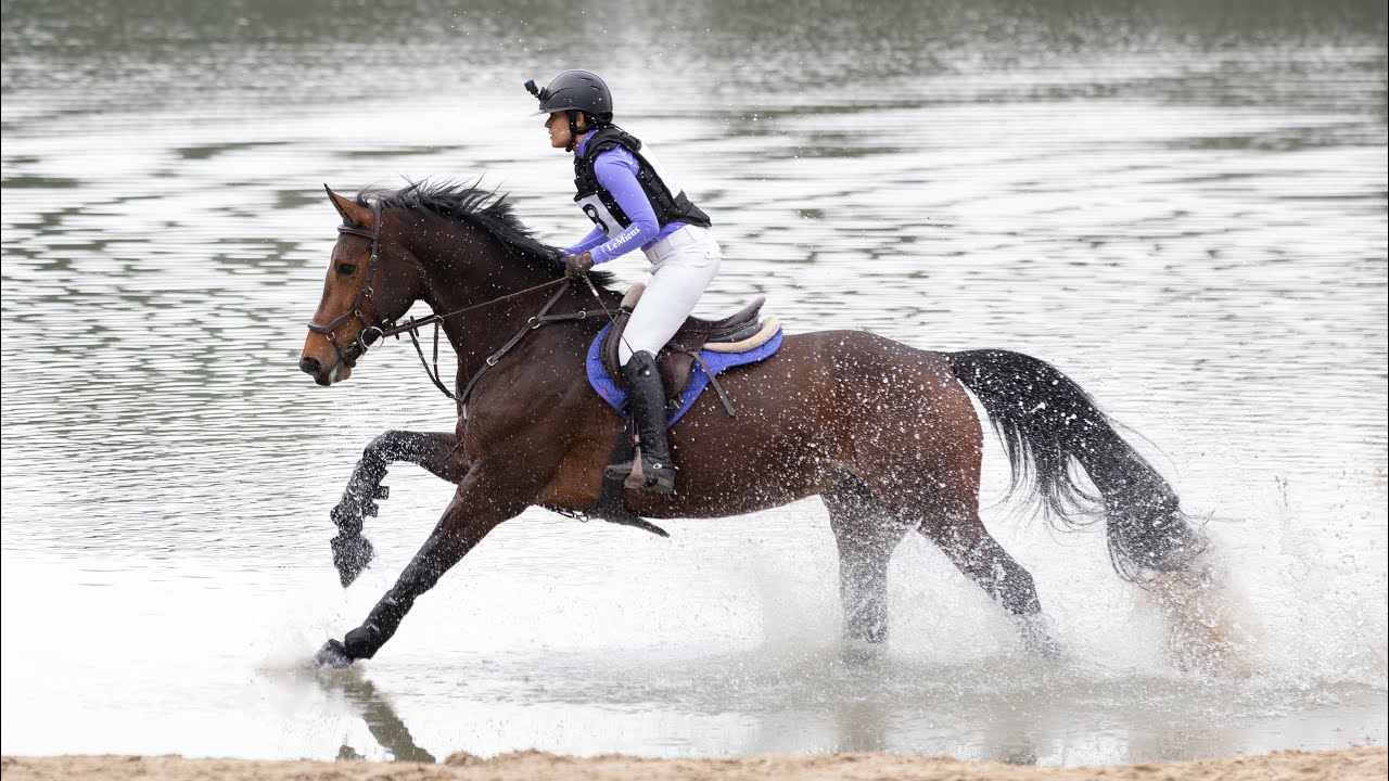 SGW Alphen-Chaam, klasse B paarden, 17-03-2024 *foutloos en 6e plaats*