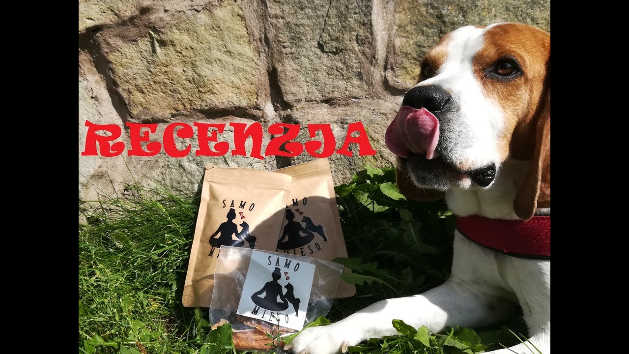 Recenzja smakołyk&oacute;w Samo mięso