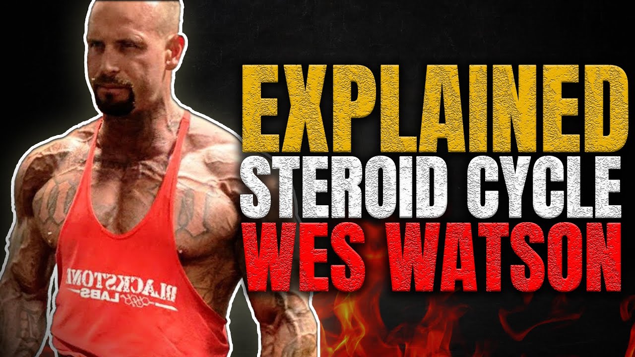 Wes Watson Steroid Cycle REVEALED