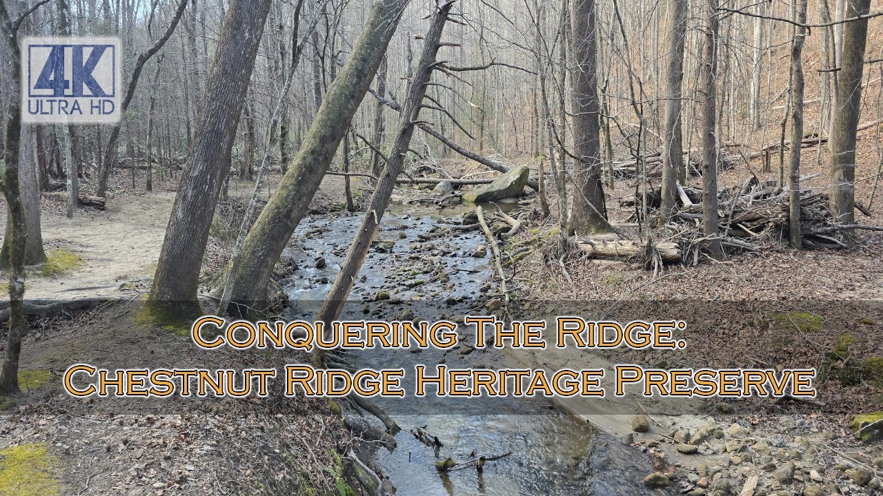Conquering The Ridge: Chestnut Ridge Heritage Preserve Trail