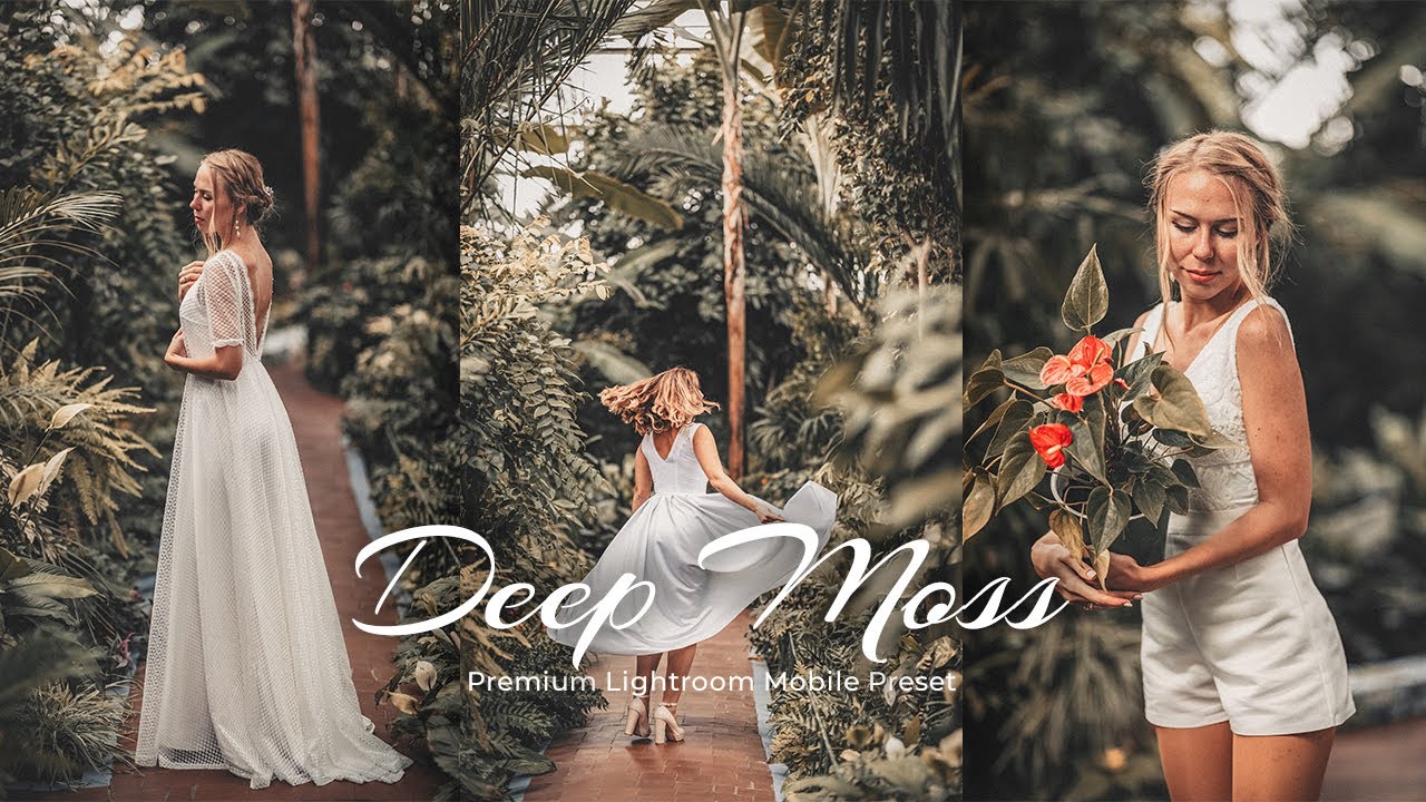 Deep Moss | Lightroom editing | Lightroom Mobile Preset Free DNG