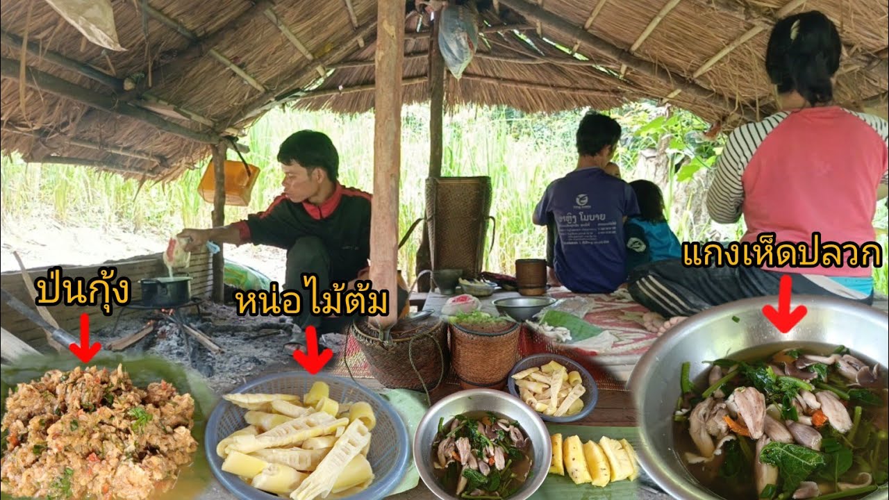 เสียหญ้าไร่ หาหน่อไม้แคมไร่ เก็บพืชผัก แล้วทำกับข้าวเที่ยงสู่ลูกเมียพ่อกินกัน อาหารบ้านๆ-บ่าวยืง