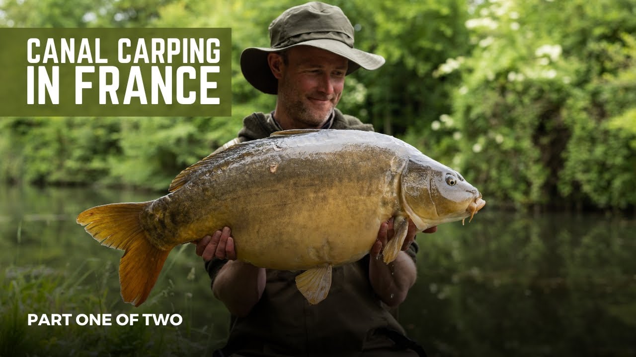 Canal Carping in France | Part 1 of 2 | Extract