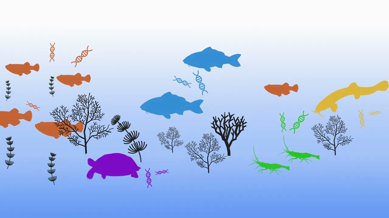 The Nature of Central Research Laboratory: The Forest, A Home to Numerous Species - Hitachi