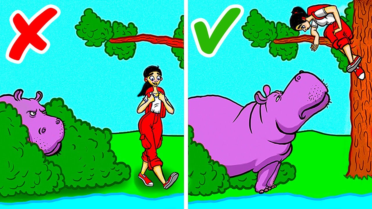 Was tun, wenn du einem Puma, Bär oder anderen wilden Tieren begegnest?