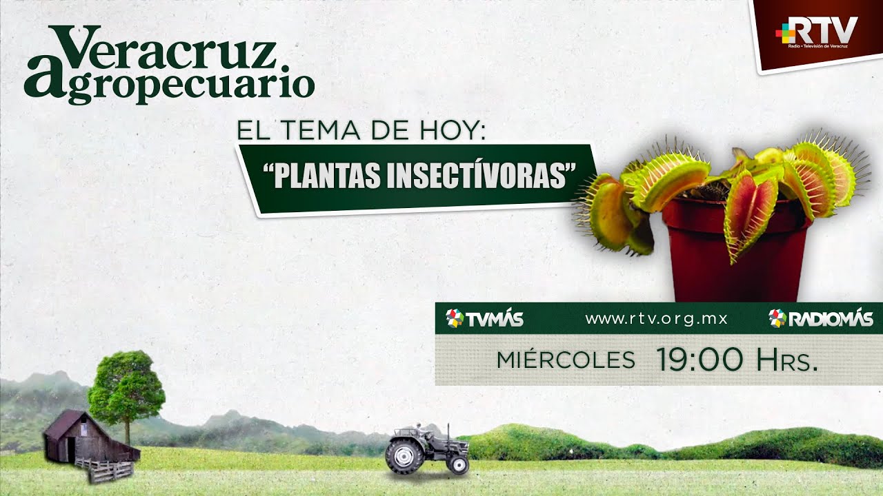 Veracruz Agropecuario 28ENE2026