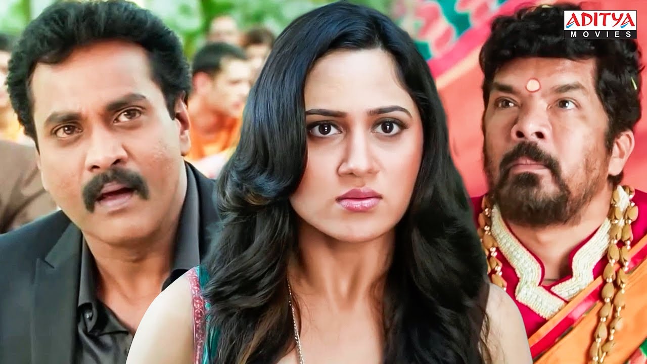 Dashing Rambabu Movie Superb Comedy Scenes | Sunil, Miya, Prakash Raj | Aditya Movies