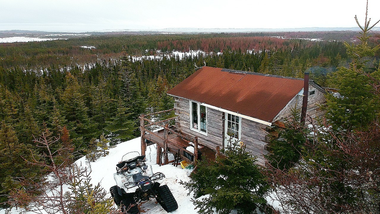 Remote Off Grid Cabin in the Newfoundland Wilderness - The Beggining of the End