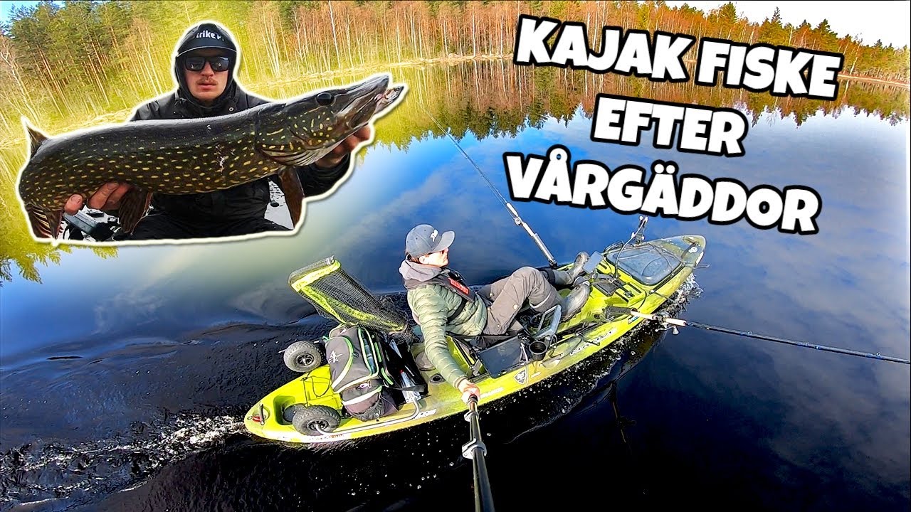 Kajakfiske efter vårgäddor