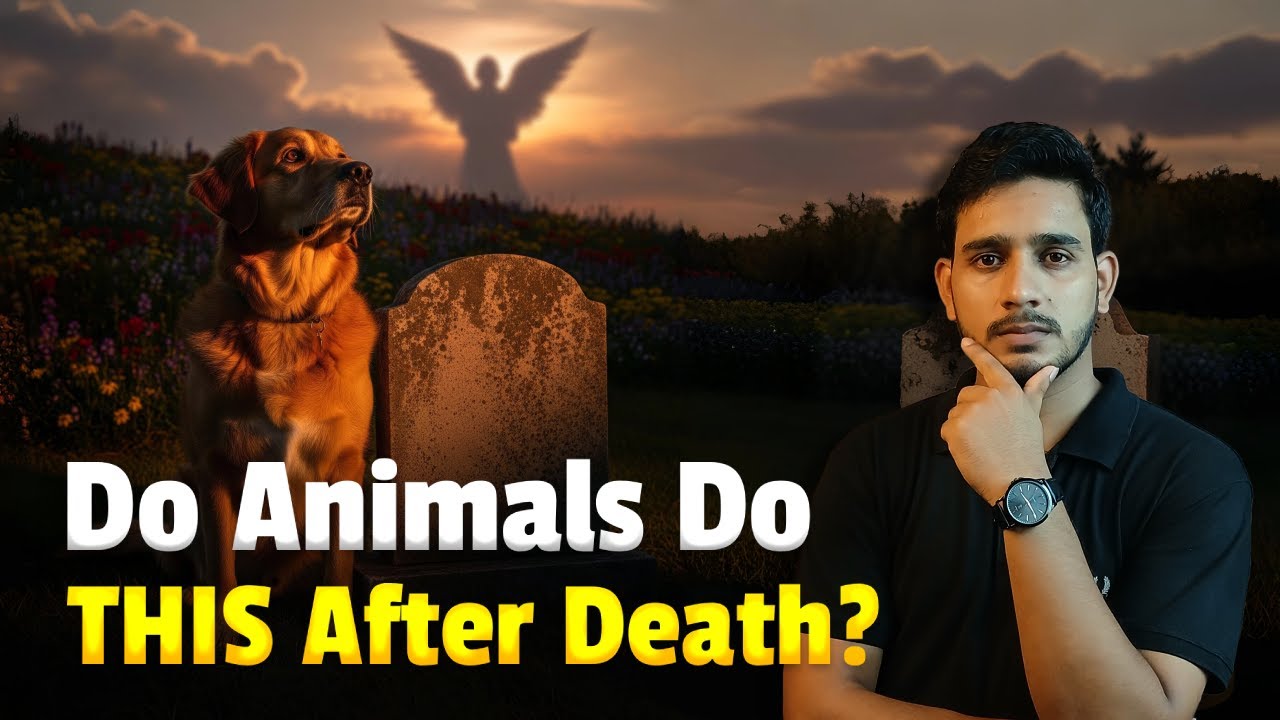 Can Animals Really Sense Death…These Heartbreaking Moments Say YES | Knowing