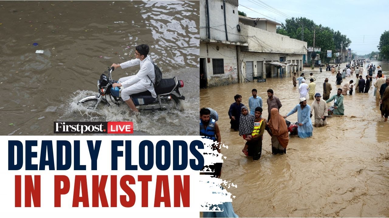 Pakistan Floods LIVE: More Than 240 Dead as Heavy Floods Ravage Buner, Surrounding Areas |Pak Floods