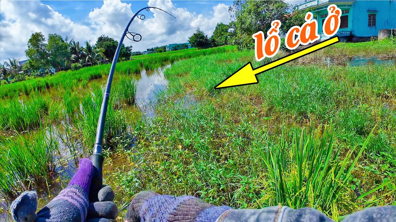 Xác định được góc cá nằm sẽ câu được nhiều cá | THÚ VUI MIỀN TÂY. 25