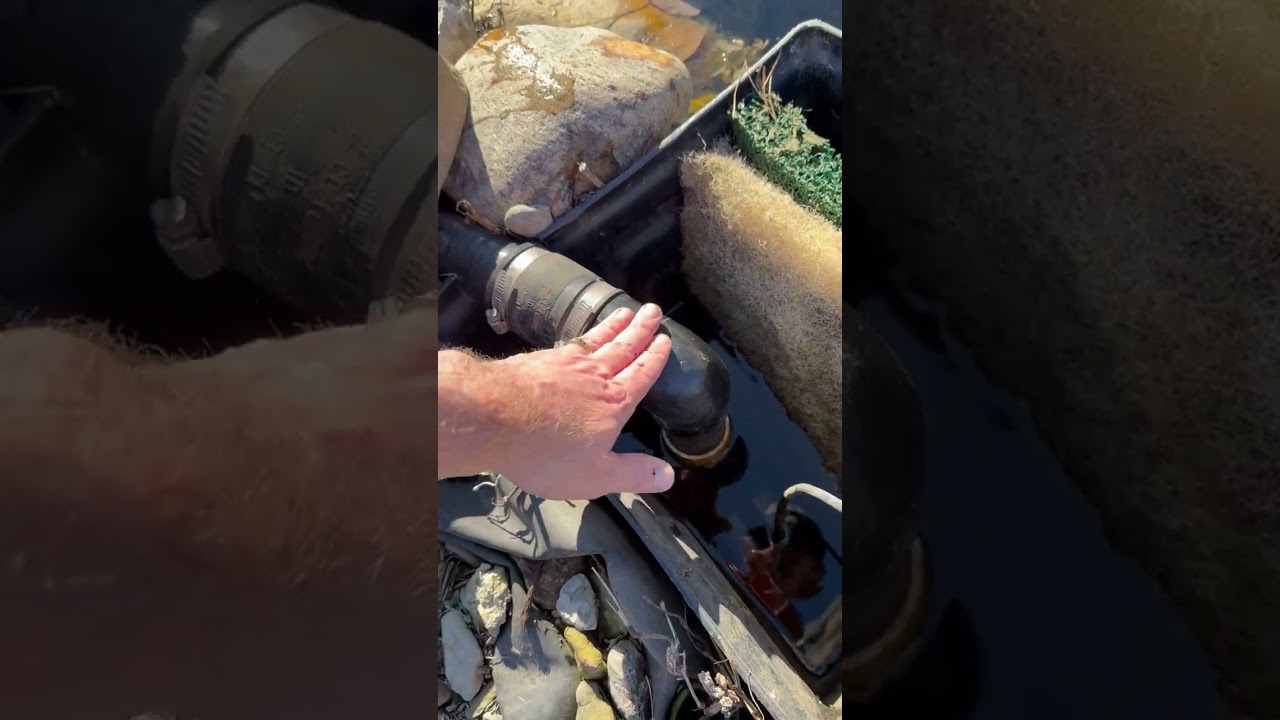 Video 8 - Full cleaning of backyard pond filter and seasonal considerations 